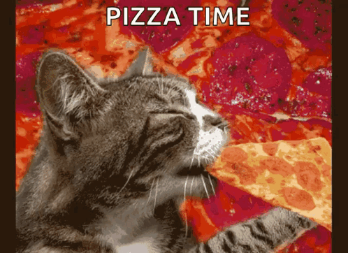 A Cat Is Eating A Slice Of Pizza With The Words Pizza Time Written Above It GIF