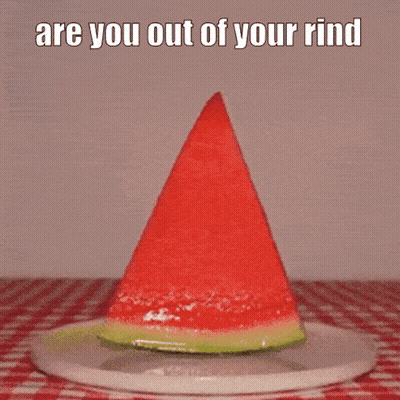 A Cat Is Eating A Slice Of Watermelon On A Plate With The Caption " Are You Out Of Your Rind " GIF
