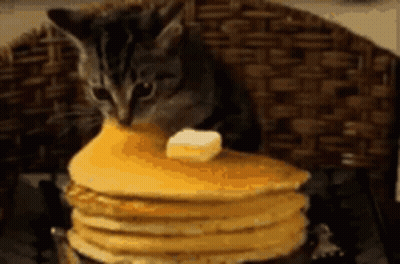 A Cat Is Eating A Stack Of Pancakes With Butter On Top . GIF
