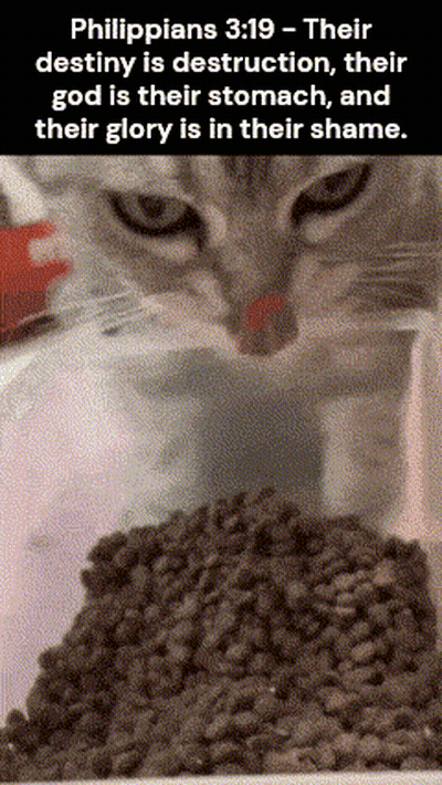 a cat is eating from a bowl of food with a bible verse written above it