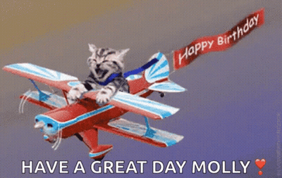 A Cat Is Flying On A Plane With A Happy Birthday Banner GIF