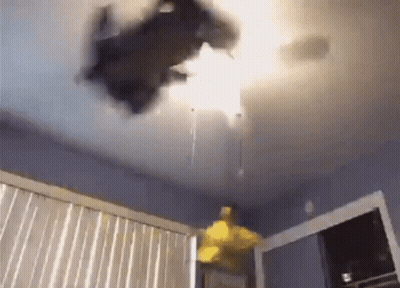 A Cat Is Flying Through The Air In A Room . GIF
