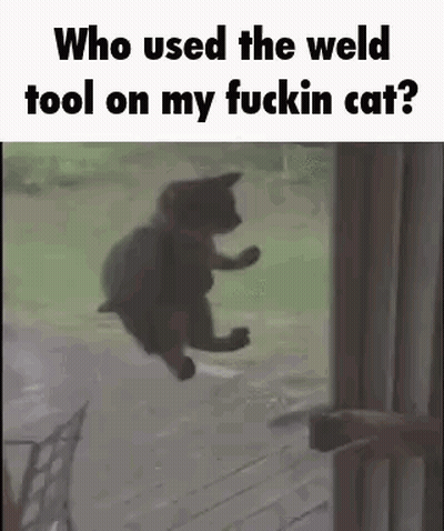 A Cat Is Flying Through The Air In Front Of A Door With The Words `` Who Used The Weld Tool On My Fuckin Cat ? '' GIF