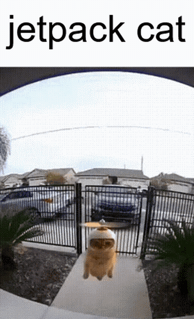 A Cat Is Flying Through The Air Wearing A Jetpack GIF