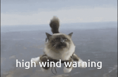 A Cat Is Flying Through The Air With A High Wind Warning Written Below It GIF