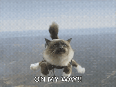 A Cat Is Flying Through The Air With The Words On My Way Written Below It GIF