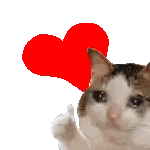 A Cat Is Giving A Thumbs Up In Front Of A Heart Sticker
