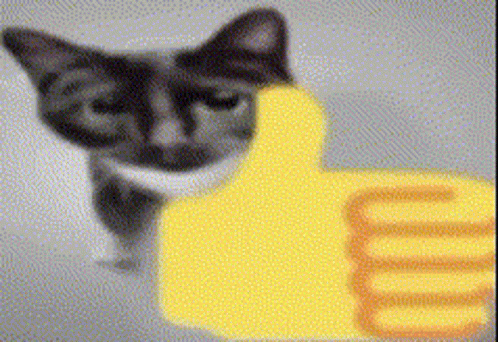 A Cat Is Giving A Thumbs Up Next To A Yellow Hand GIF