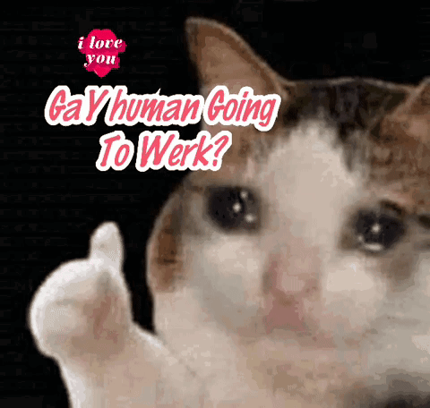 A Cat Is Giving A Thumbs Up With The Words Gay Human Going To Werk Behind It GIF