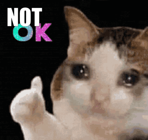 A Cat Is Giving A Thumbs Up With The Words Not Ok Behind It GIF