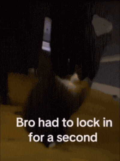 A Cat Is Glowing In The Dark With The Words Bro Had To Lock In For A Second Written Below It . GIF