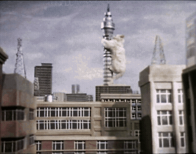 A Cat Is Hanging From A Very Tall Building GIF