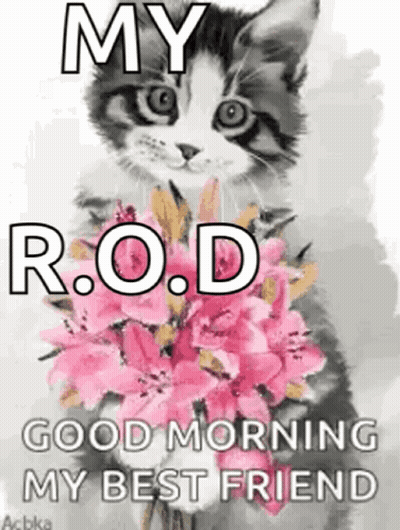 A Cat Is Holding A Bouquet Of Pink Flowers And Saying `` Good Morning My Best Friend '' . GIF