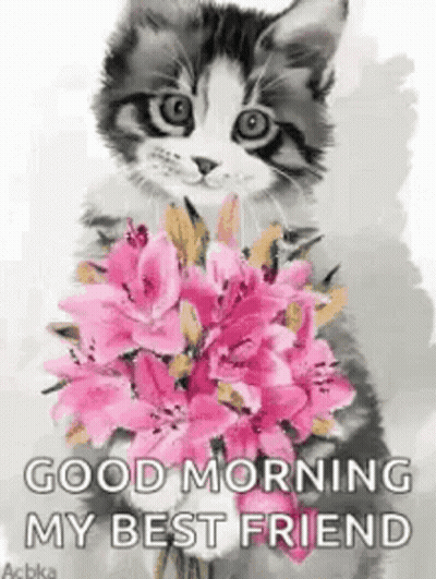 A Cat Is Holding A Bouquet Of Pink Flowers In Its Paws . GIF