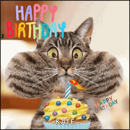 A Cat Is Holding A Cupcake With A Candle And Says Happy Birthday Kate On The Bottom GIF