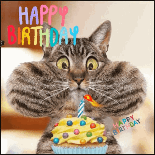 A Cat Is Holding A Cupcake With A Candle And The Words Happy Birthday Written On It GIF