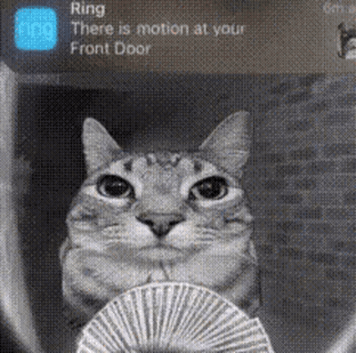 A Cat Is Holding A Fan In Front Of A Door That Says Ring There Is Motion At Your Front Door . GIF