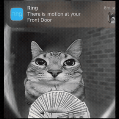 A Cat Is Holding A Fan Of Money In Front Of A Ring App GIF