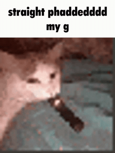 A Cat Is Holding A Flashlight In Its Mouth And The Caption Reads Straight Phaddedddd My G GIF