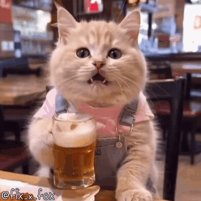 A Cat Is Holding A Glass Of Beer And Sitting At A Table . GIF