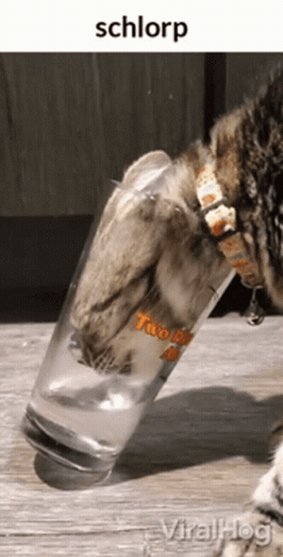 A Cat Is Holding A Glass Of Water With Its Paw GIF