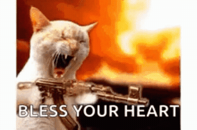 A Cat Is Holding A Gun In Front Of A Fire With The Words `` Bless Your Heart '' . GIF