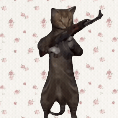 A Cat Is Holding A Gun Over Its Shoulder Against A Floral Background GIF