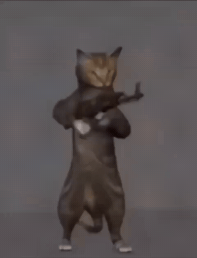 A Cat Is Holding A Gun Over Its Shoulder In A Cartoon . GIF