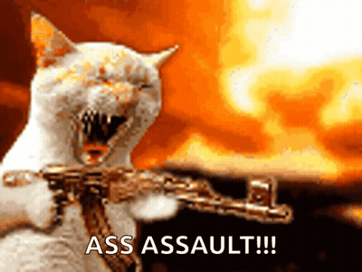 A Cat Is Holding A Gun With The Words Ass Assault Written On The Bottom GIF