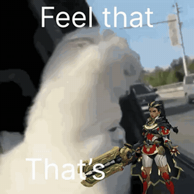 A Cat Is Holding A Gun With The Words Feel That That 'S On It GIF