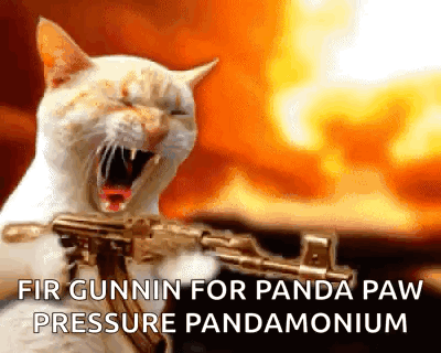 A Cat Is Holding A Gun With The Words Fir Gunnin For Panda Paw Pressure Pandamonium GIF