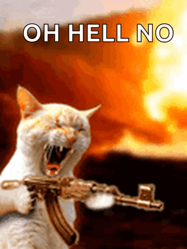 A Cat Is Holding A Gun With The Words Oh Hell No Written Above It GIF