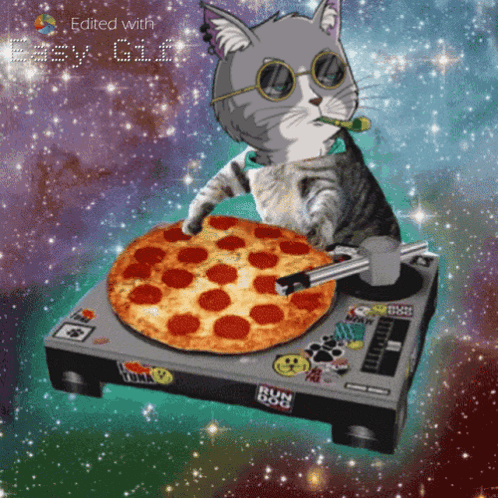 A Cat Is Holding A Pepperoni Pizza On A Turntable That Says Run Dog GIF