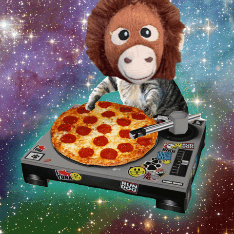 A Cat Is Holding A Pepperoni Pizza On A Turntable That Says Run Dog On It GIF