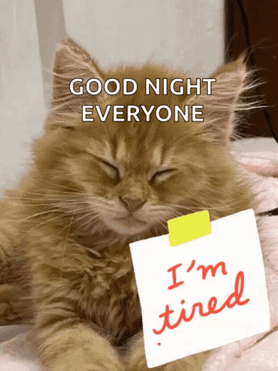 A Cat Is Holding A Piece Of Paper That Says I 'M Tired On It GIF