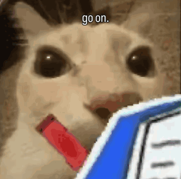 A Cat Is Holding A Red Crayon In Its Mouth And Says `` Go On '' . GIF