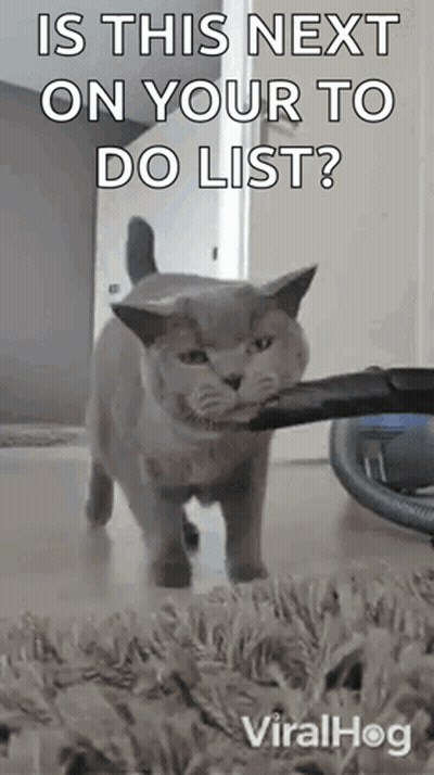A Cat Is Holding A Vacuum Cleaner In Its Mouth And Says Is This Next On Your To Do List ? GIF