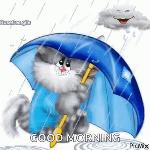 A Cat Is Holding An Umbrella In The Rain And Says Good Morning . GIF