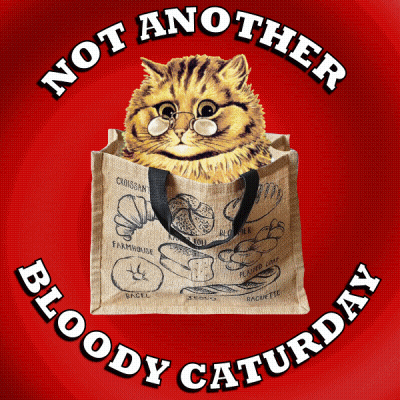 a cat is in a bag that says not another bloody caturday