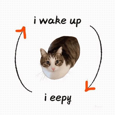 A Cat Is In A Circle With The Words I Wake Up I Eepy GIF