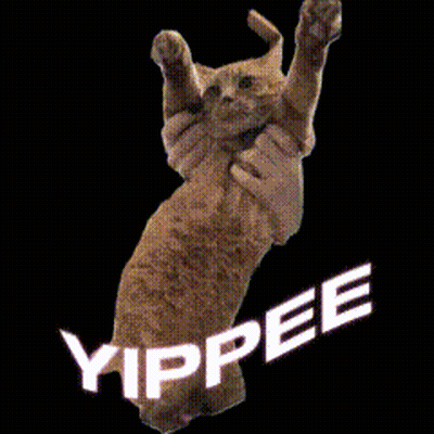 A Cat Is Jumping In The Air With The Word Yippee Written Above It GIF