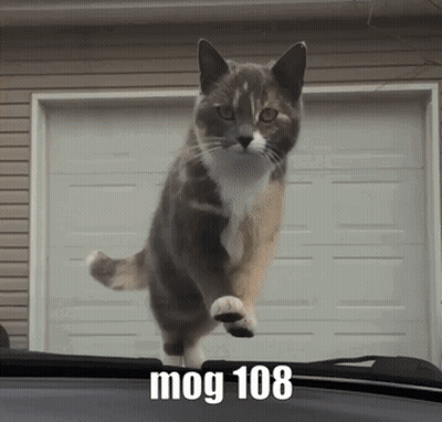 A Cat Is Jumping In The Air With The Words Mog 108 Written On The Bottom GIF