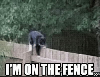 A Cat Is Jumping Over A Fence With The Words `` I 'M On The Fence '' Below It . GIF