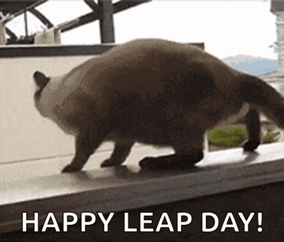 A Cat Is Jumping Over A Window Sill With The Words Happy Leap Day Written Below It GIF