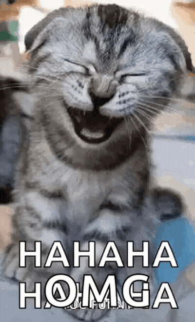 A Cat Is Laughing With Its Eyes Closed And The Words `` Hahaha Homga '' Written On The Bottom . GIF