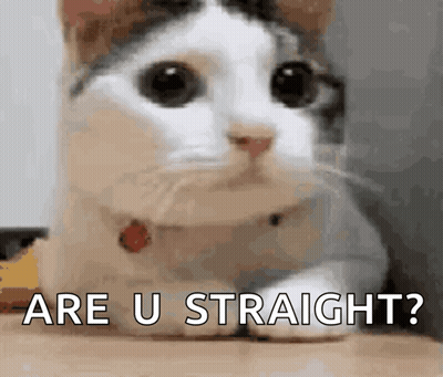 A Cat Is Laying Down And Looking At The Camera With The Words `` Are U Straight '' Written Below It . GIF