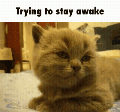 A Cat Is Laying Down On A Bed With The Words Trying To Stay Awake Above It GIF