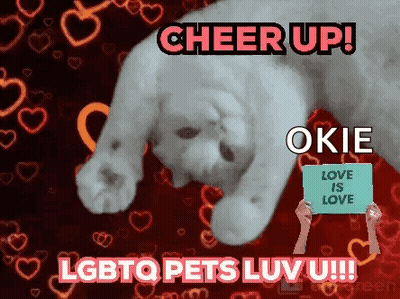 A Cat Is Laying Down With A Sign That Says Love Is Love GIF