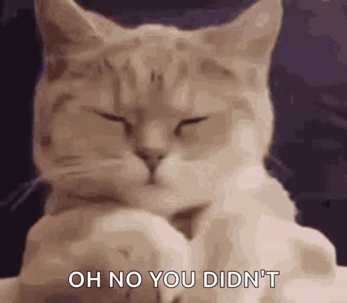 A Cat Is Laying Down With Its Eyes Closed And Says Oh No You Didn 'T GIF
