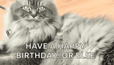 A Cat Is Laying Down With The Words `` Have A Happy Birthday ... Or Else '' Written On It . GIF